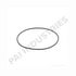 PAI 121305 Multi-Purpose O-Ring O-Ring - 0.103 in C/S x 3.987 in ID 2.62 mm C/S x 101.27 mm ID HNBR 75, Sky Blue Teflon Coat