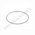 PAI EFR-8417 Flame Trap O-Ring FIRERING