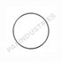 PAI EFR-8417 Flame Trap O-Ring FIRERING