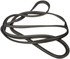 750-5200 by DORMAN - Windshield Seal