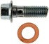 484-202.1 by DORMAN - Banjo Bolt M10-1.5 X 2