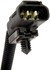 917-777 by DORMAN - Magnetic Crankshaft Position Sensor