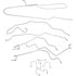 919-185 by DORMAN - Stainless Steel Brake Line Kit