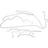 919-221 by DORMAN - Stainless Steel Brake Line Kit
