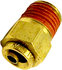 TR14SF14 by TORQUE PARTS - Push in To Connect (PTC) Brass Air Male Fitting Straight Connector, 1/4 OD x 1/4 NPT