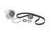 TBK170AWP by SKF - Timing Belt And Waterpump Kit