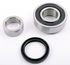 WKH6920 by SKF - Wheel Bearing and Seal Kit