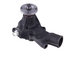 42090 by GATES - Light Water Pumps