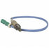 DY843 by MOTORCRAFT - SENSOR - HEGO