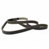 JK6687CD by MOTORCRAFT - V-BELT