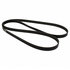 JK6881BB by MOTORCRAFT - V-BELT