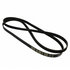 JK61013AD by MOTORCRAFT - V-BELT