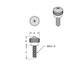 23812 by UNITED PACIFIC - Dash Panel Screw - Dash Screw, Short, with Red Diamond, for Kenworth