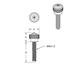 23816 by UNITED PACIFIC - Dash Panel Screw - Dash Screw, Long, with Blue Diamond, for Kenworth