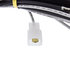 C555911-2 by UNITED PACIFIC - Wiring Harness - 7' Long 18-AWG Wiring, with Insulated Push-On Type Male Terminals