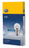 199 by HELLA - HELLA 199 Standard Series Incandescent Miniature Light Bulb, 10 pcs