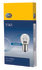 1141 by HELLA - HELLA 1141 Standard Series Incandescent Miniature Light Bulb, 10 pcs