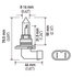 H71070582 by HELLA - HELLA HB3 Design Series Halogen Light Bulb, Twin Pack