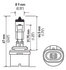 H71071172 by HELLA - HELLA 880 Design Series Halogen Light Bulb, Twin Pack