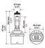 H71071192 by HELLA - HELLA 893 Design Series Halogen Light Bulb, Twin Pack