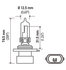 H71071412 by HELLA - HELLA 9005 Design Series Halogen Light Bulb, Twin Pack