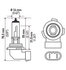 H71071112 by HELLA - HELLA H10 Design Series Halogen Light Bulb, Twin Pack