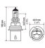 H71071392 by HELLA - HELLA 9004 Design Series Halogen Light Bulb, Twin Pack