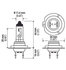 H7 24V by HELLA - HELLA H7 24V Standard Series Halogen Light Bulb, Single