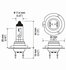 H7SB by HELLA - HELLA H7SB Standard Series Halogen Light Bulb, Single