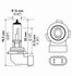 H10TB by HELLA - HELLA H10TB Standard Series Halogen Light Bulb, Twin Pack