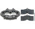 RC8001 by RAYBESTOS - Raybestos R-Line Reman Loaded Caliper