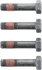 096285 by DANA - Differential Bolt - 2.344-2.406 in. Length, 0.798-0.813 in. Width, 0.348-0.371 in. Thick