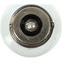 307 by WAGNER - Wagner Lighting 307 Standard Multi-Purpose Light Bulb Box of 10