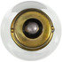 Wagner BP93 Multi-Purpose Light Bulb Wagner Lighting BP93 Standard Multi-Purpose Light Bulb Card of 2