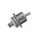 FP10263 by DELPHI - Fuel Injection Pressure Regulator