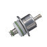 FP10381 by DELPHI - Fuel Injection Pressure Regulator