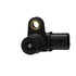 SS11816 by DELPHI - Automatic Transmission Speed Sensor