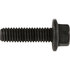 10005790 by DANA - Differential Bolt - Screw-Flange Head
