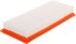 CA10170 by FRAM - Flexible Panel Air Filter