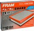 CA10191 by FRAM - Flexible Panel Air Filter
