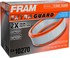 CA10270 by FRAM - Special Configuration Air Filter