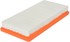 CA6366 by FRAM - Flexible Panel Air Filter