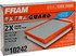 CA10242 by FRAM - Flexible Panel Air Filter