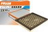 CA10685 by FRAM - Flexible Panel Air Filter