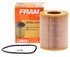 CH8081 by FRAM - Cartridge Oil Filter