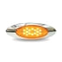 TLED-GEN1A by TRUX - LED Light, Generation 1, Amber, Replacement for Panelite M1 (16 Diodes)
