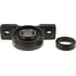 NBPWG134R by BCA - Ball Bearing Mounted Unit (Cast Iron)
