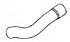 01-31990-001 by FREIGHTLINER - Radiator Coolant Hose - Upper, M2