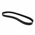 JK6295 by MOTORCRAFT - Serpentine Belt MOTORCRAFT JK6-295 fits 18-19 Ford Mustang 5.0L-V8