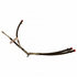 PSH348 by MOTORCRAFT - Power Steering Return Line Hose Assembly Motorcraft PSH-348